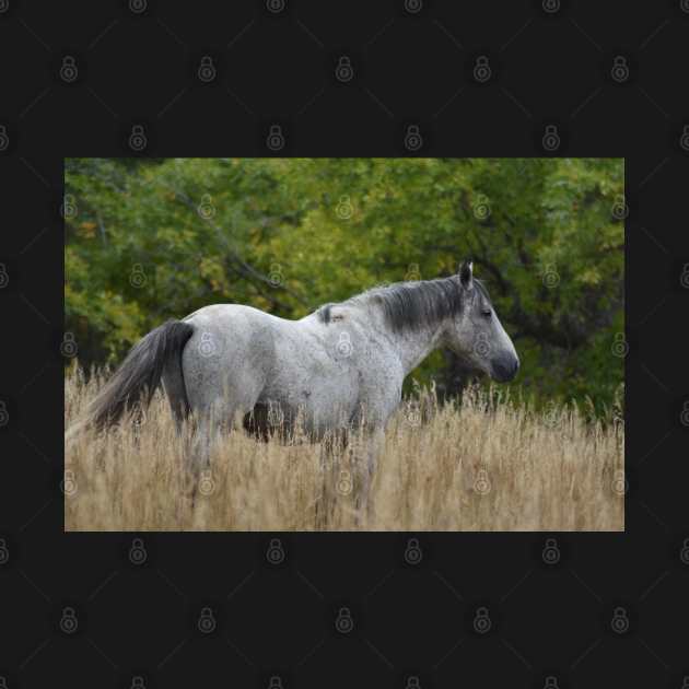 Wild Grey Horse by MarieDarcy