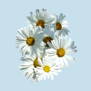 Daisies in Sunshine T-Shirt