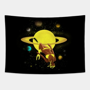 space traveler Tapestry