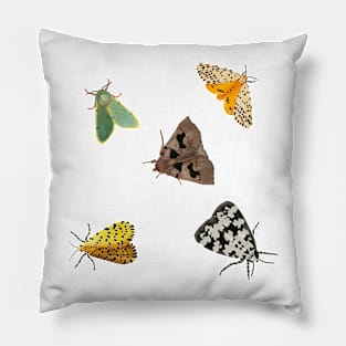 Big bright moth Pillow