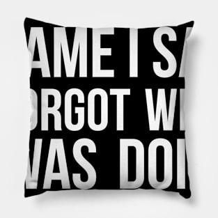 I Came I Saw I Forgot What I was Doing humor joke quote Pillow