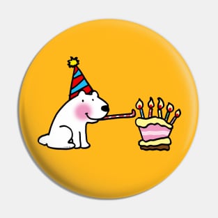 birthday party time Pin