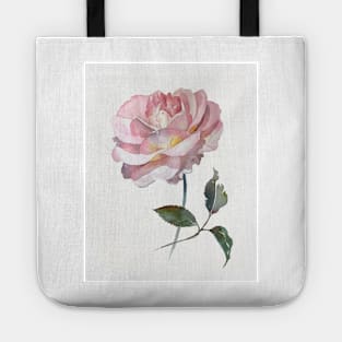 Pink delicate rose hand painted watercolour by Leanne Tote