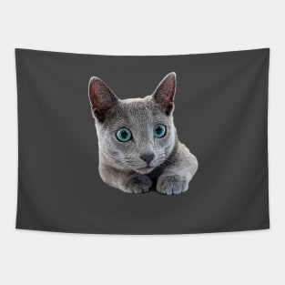 Russian Blue Cat Kitten Blue eyes Tapestry