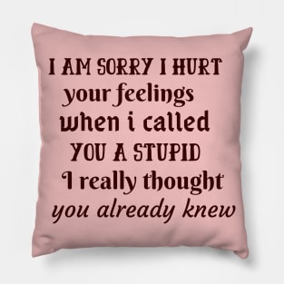 I am sorryI I hurt your feelings Pillow