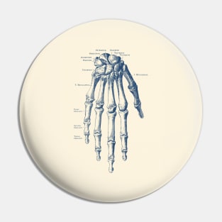 Down Facing Hand Skeletal Diagram - Anatomy Print Pin