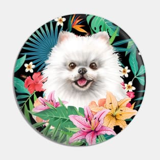 Tropical Pomeranian 6 Pin