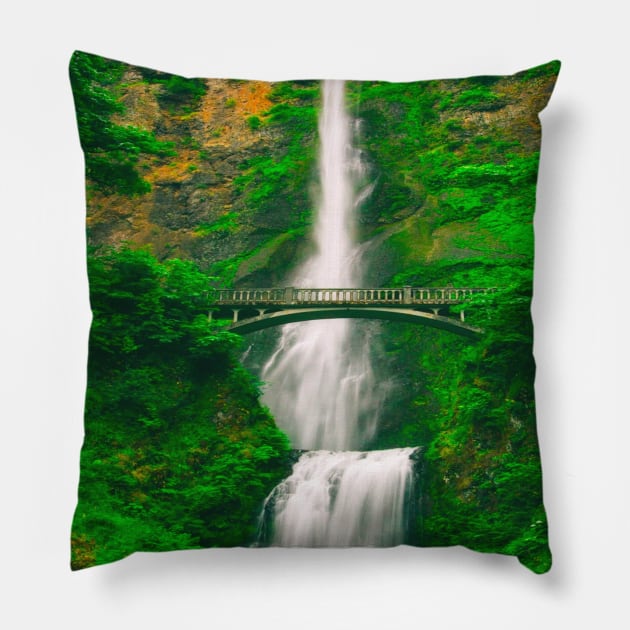 nature photograph Pillow by SALTEE_STORE