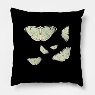 colorful butterfly cute butterfly Pillow