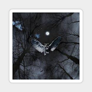 Night Owl Magnet