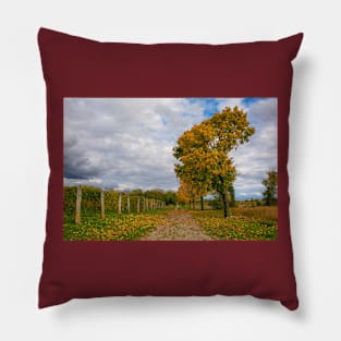 Autumn in Rural North East Italy Pillow