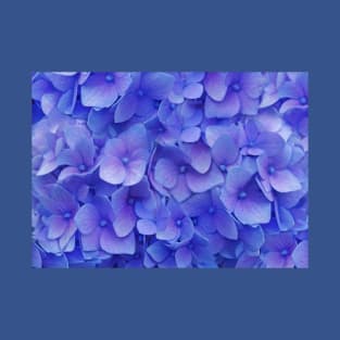 Hydrangea blue T-Shirt