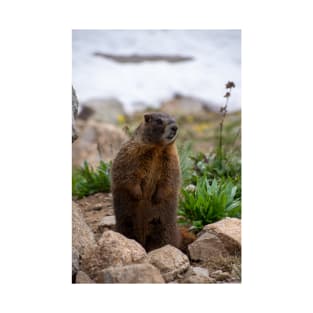 Standing Marmot 2 T-Shirt