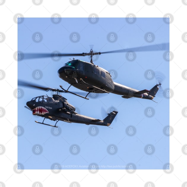 UH-1 Huey and AH-1 Huey Cobra by acefox1