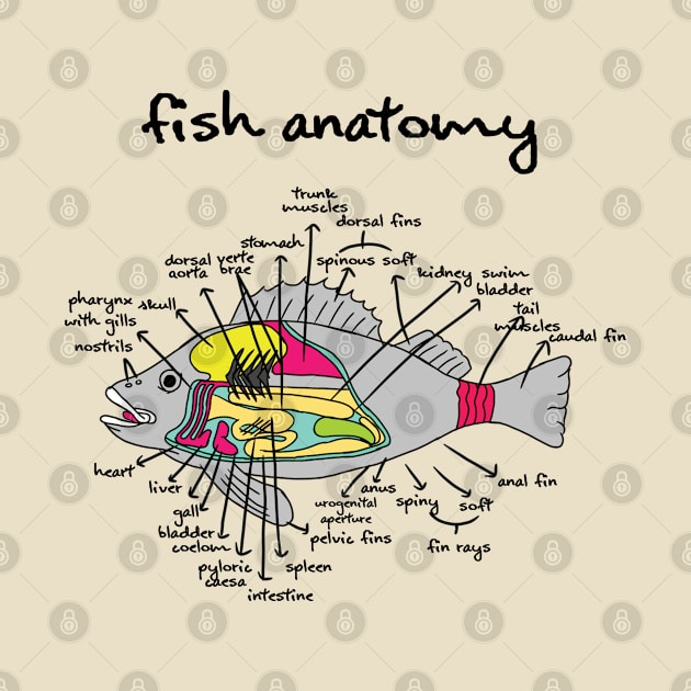 Fish Anatomy by Aldebaran