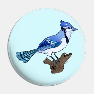 Bluejay bird on branch Pin