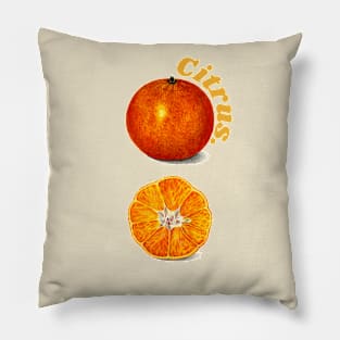 Citrus Pillow