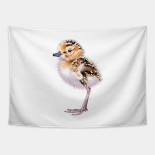 Spoon-billed Sandpiper chick Tapestry