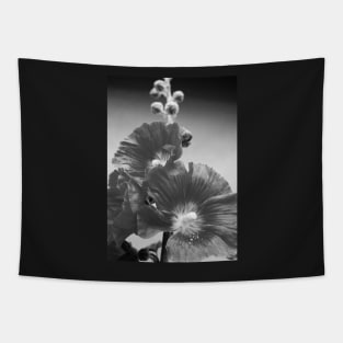 Black and White Hollyhock close-up Tapestry