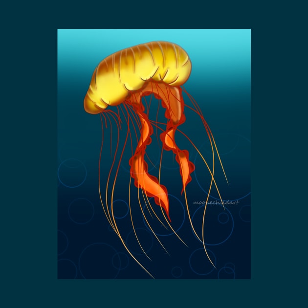 Sea Nettle by SazaMasu