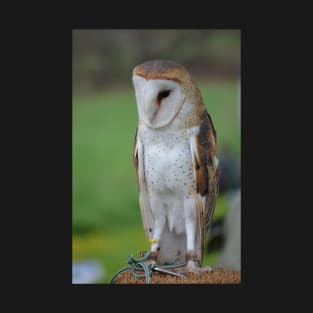 Barn Owl T-Shirt