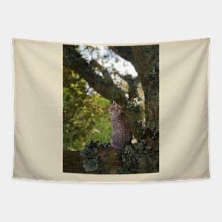 Cat Fairies: Resting Tapestry