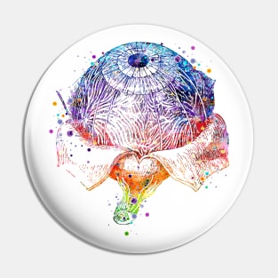 Eye Anatomy Watercolor Painting Pin