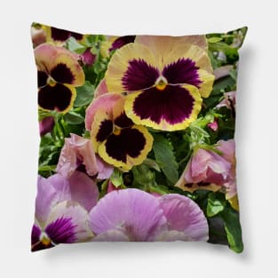 Pretty Pansies Pillow