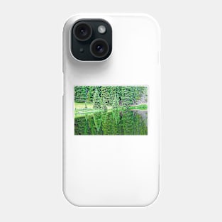 Lake Irene 12-1 Phone Case