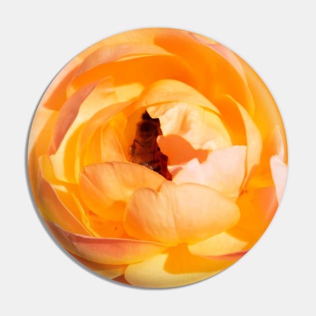 Stop & Smell The Roses Pin by Studio Sara Spohr