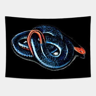 Blue coral snake Tapestry