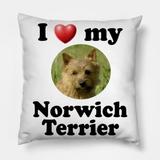 I Love My Norwich Terrier Pillow