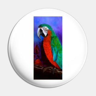 Macaw Pin