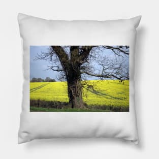 Fields of gold Pillow