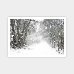 Winter Whiteout Magnet