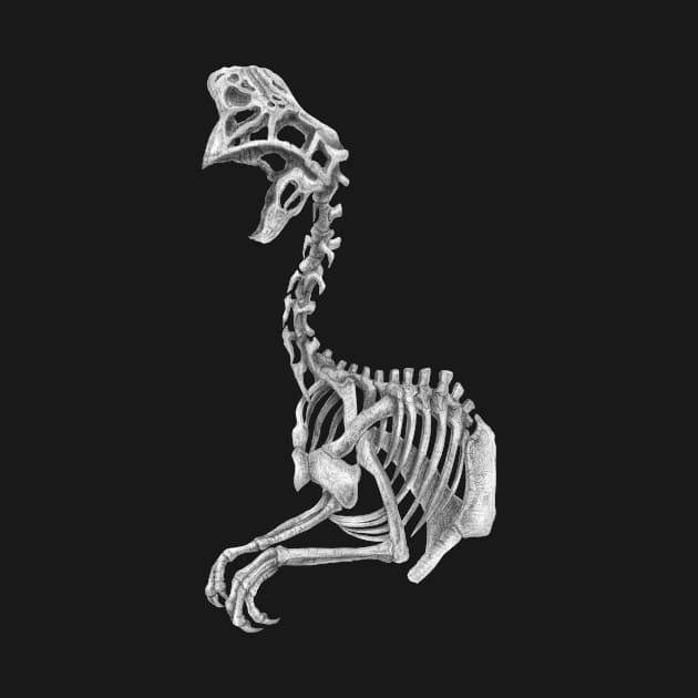 Oviraptor skeleton by TimeSkiff