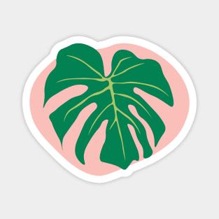 Monstera Deliciosa Leaf | Gifts for plant lovers Magnet