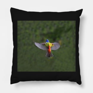 Painted Bunting Bird in Flight Pillow