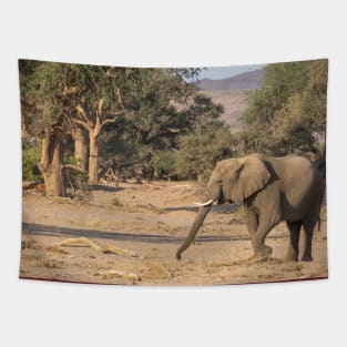 Namibia. Bushland. Elephant. Tapestry