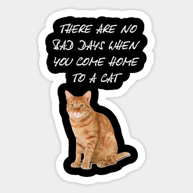 Come Home To A Cat T Shirt V1 Come Home To A Cat Sticker