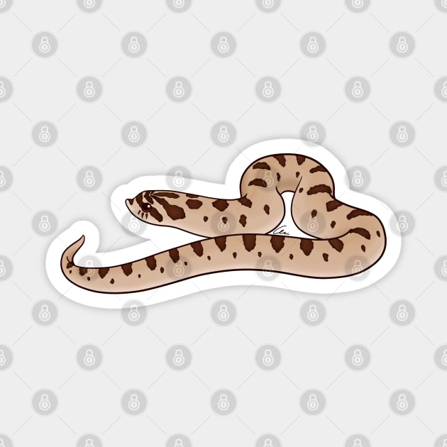 Western Hognose, Conda Morph Magnet by anacecilia