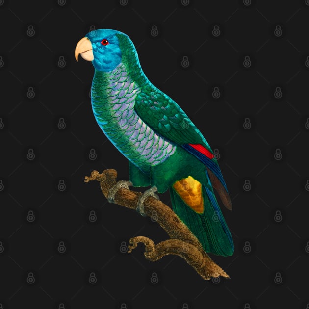 Black Panther Art - Beautiful Parrot 9 by The Black Panther