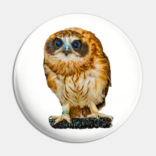 Billy the Boobook Owl Pin