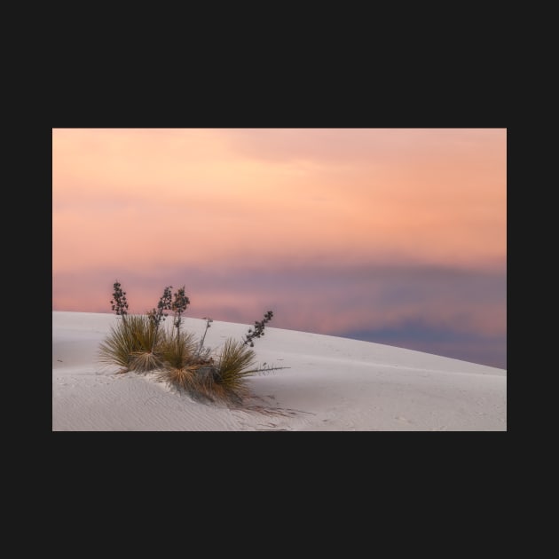 White Sand Sunset by jvnimages