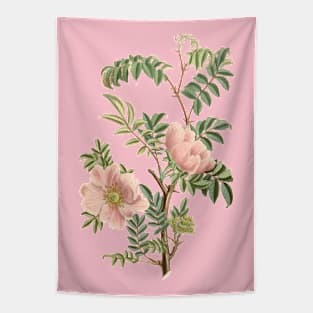 Wild Rose Flower Vintage Botanical Illustration Tapestry