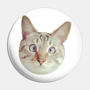 CAT Pin