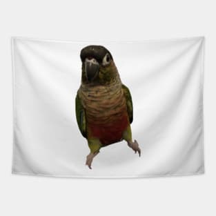 Green Cheek Conure Parrot Bird design, Love for birds Tapestry