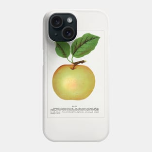 Mann Apple Lithograph (1900) Phone Case