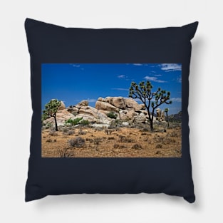 Formations  Joshus Tree Pillow