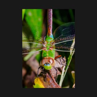 Green Dragonfly Photograph T-Shirt